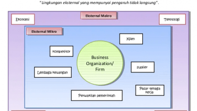 Manajer Dan Lingkungan Eksternal Organisasi
