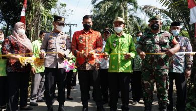 Kabupaten Serdang Bedagai