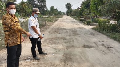 Kabupaten Serdang Bedagai
