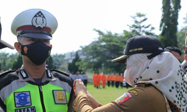 Kabupaten Tulang Bawang