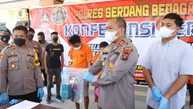 Serdang Bedagai