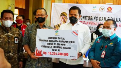 Kabupaten Serdang Bedagai