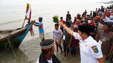 Kabupaten Serdang Bedagai