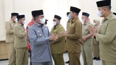 Kabupaten Serdang Bedagai