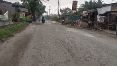 Kabupaten Serdang Bedagai