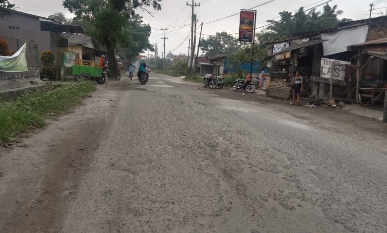 Kabupaten Serdang Bedagai