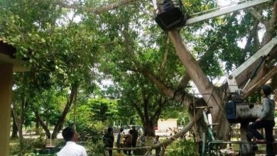 Kabupaten Tulang Bawang