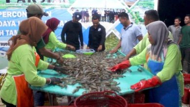 Kabupaten Aceh Tamiang