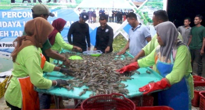 Kabupaten Aceh Tamiang