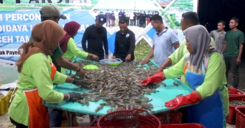 Kabupaten Aceh Tamiang
