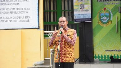 Kabupaten Serdang Bedagai