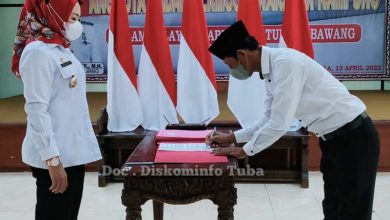 Kabupaten Tulang Bawang