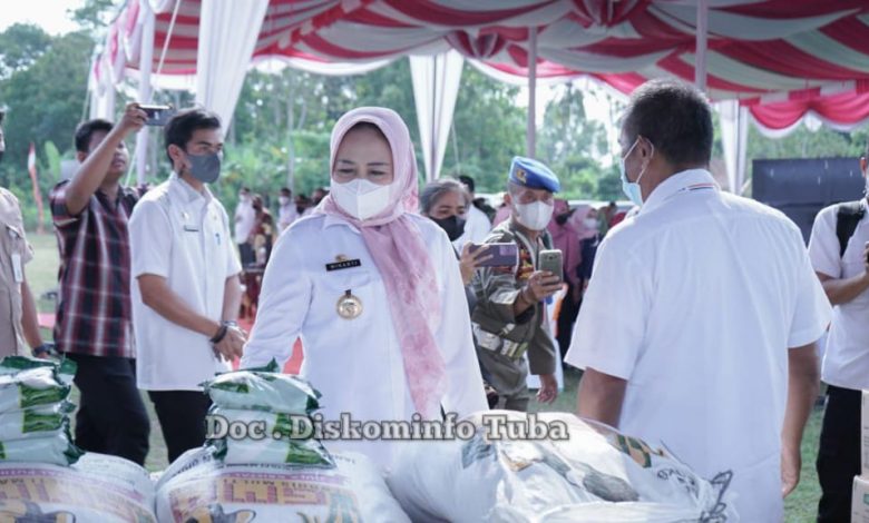 Kabupaten Tulang Bawang