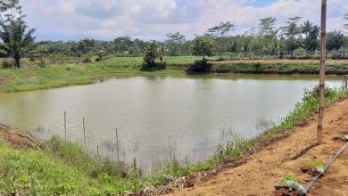 Kabupaten Bengkulu Utara