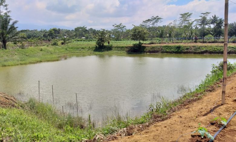 Kabupaten Bengkulu Utara