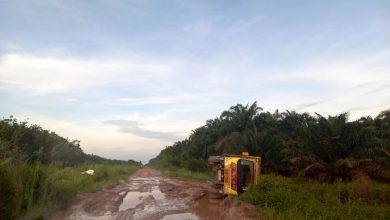 Kabupaten Tulang Bawang