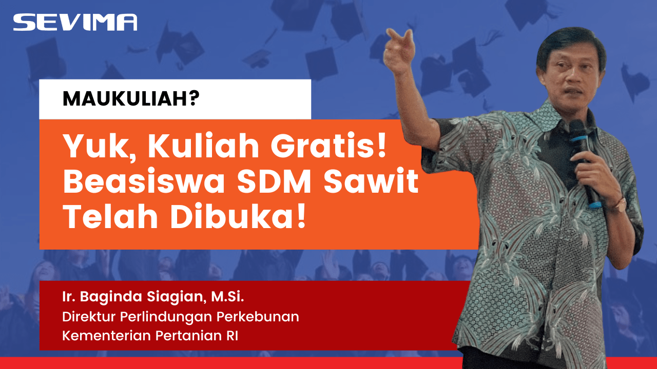 Pendidikan
