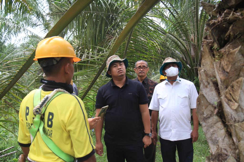 Kabupaten Serdang Bedagai
