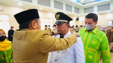 Kabupaten Serdang Bedagai