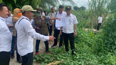 Kabupaten Serdang Bedagai