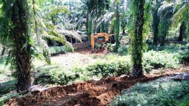 Kabupaten Bengkulu Selatan