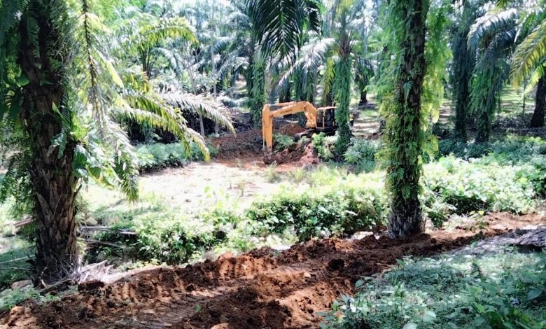 Kabupaten Bengkulu Selatan