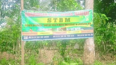 Kabupaten Bengkulu Selatan