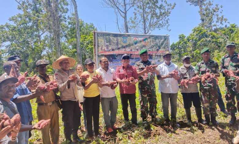 Provinsi Papua