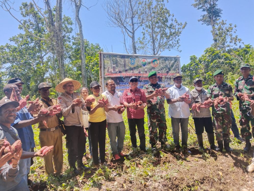 Provinsi Papua