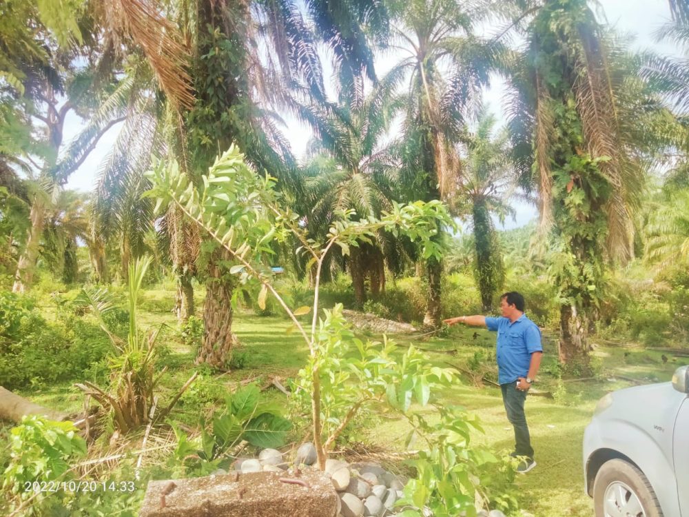 Kabupaten Bengkulu Selatan